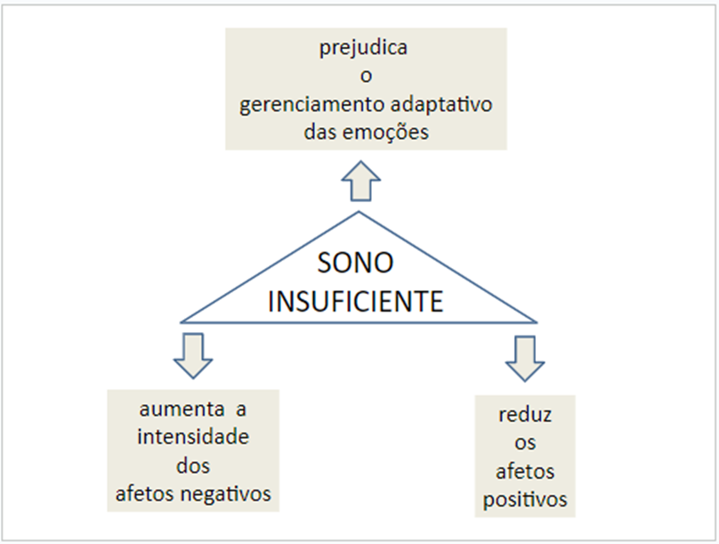 Imagem para zoom